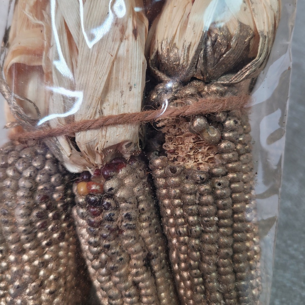 5 Pottery Barn Gilded Mini Corn Vase Filler Gold Autumn Harvest Decor RARE Stock - Picture 11 of 15